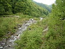 2006-05-30 010.JPG